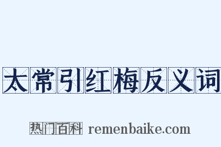 太常引红梅反义词是什么意思的图片